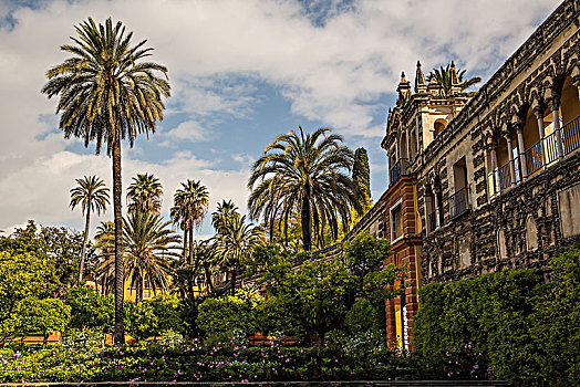 欧洲,西班牙,安达卢西亚,塞维利亚,王宫,花园,皇家,棕榈树,园艺建筑