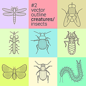 轮廓,矢量,昆虫,象征,收集,生物