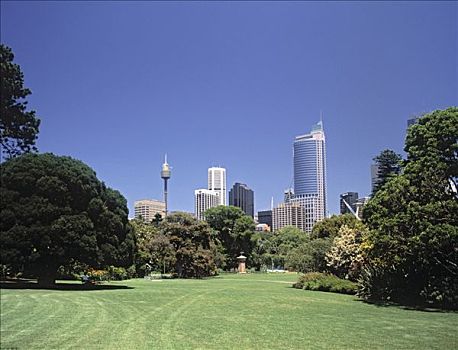 中央商务区,植物园,悉尼,澳大利亚