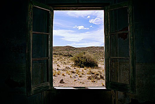 打开,窗户,潘帕斯草原,阿根廷
