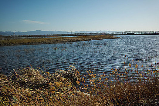 野鸭湖