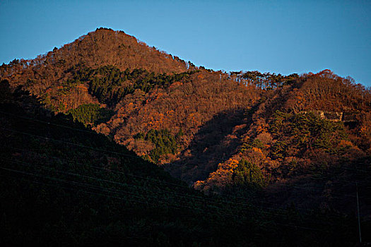 枥木县