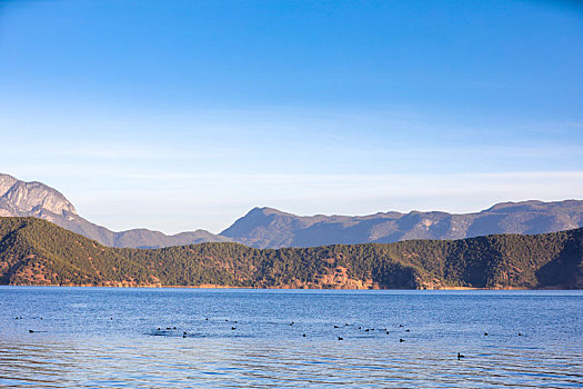 波光粼粼的泸沽湖湖面