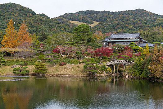 秋天,公园,日本