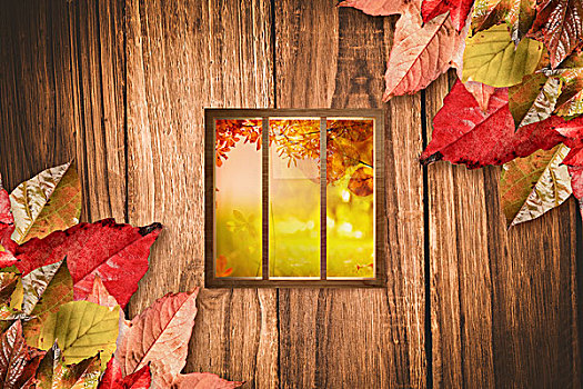 合成效果,图像,数码照片,玻璃窗,秋天,场景