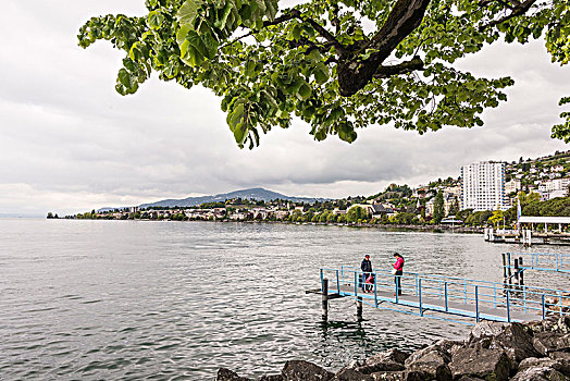 岸边,湖,蒙特勒,日内瓦湖,沃州,瑞士