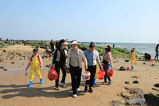 太公岛迎来天文大潮,市民登岛赶海拾贝