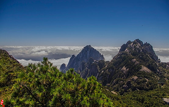 中国黄山云海双峰