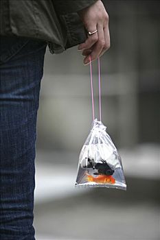 女人,拿着,塑料袋,两个,小,鱼,思考,吉利物,东京,日本,亚洲