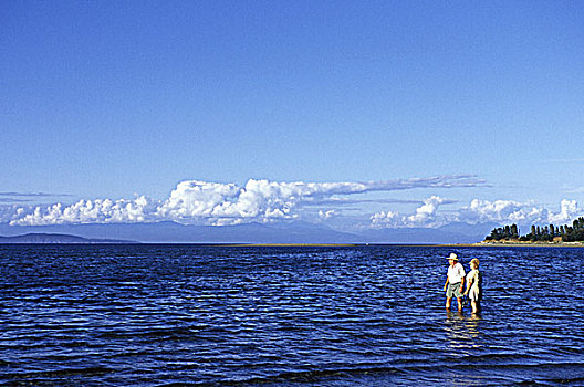 海滩,老年,夫妻,温馨,海水,温哥华岛,不列颠哥伦比亚省,加拿大