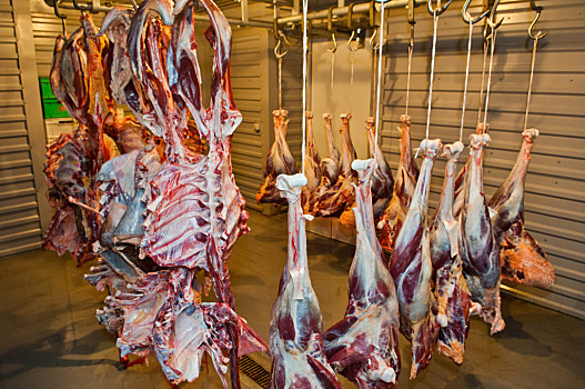 鸵鸟肉,店,制作