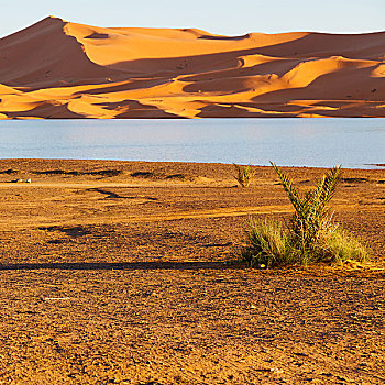 阳光,沙漠,摩洛哥,沙子,湖,沙丘