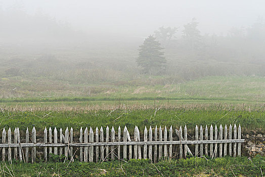 围栏,地点,雾,要塞,露易斯堡,布雷顿角岛,新斯科舍省,加拿大