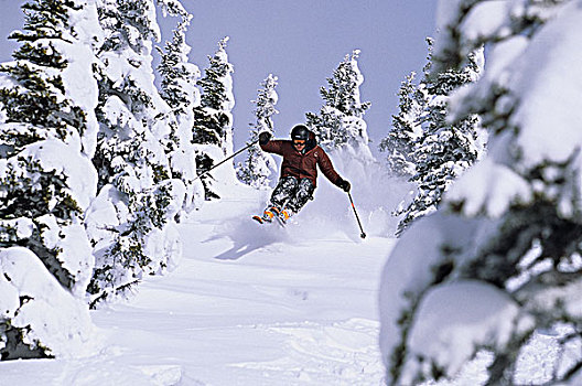 滑雪者,抓住,空气,不列颠哥伦比亚省,加拿大