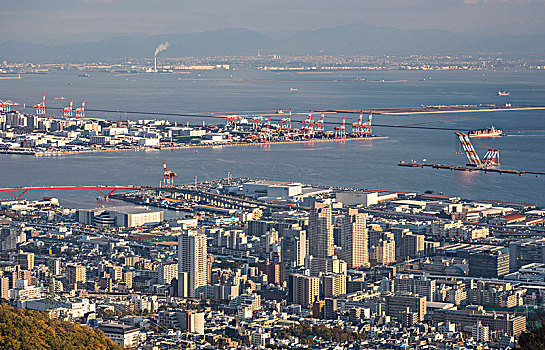 日本,神户,城市,香草园