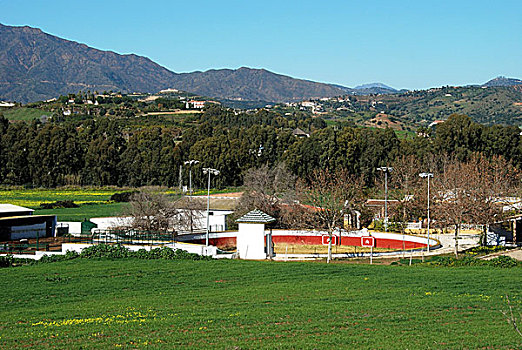 马,畜栏,乡村,安达卢西亚,西班牙