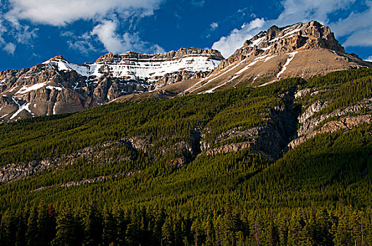 仰视,山脉,攀升,班芙国家公园,艾伯塔省,加拿大