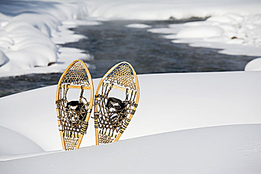 雪鞋,河,路易斯湖,艾伯塔省,加拿大