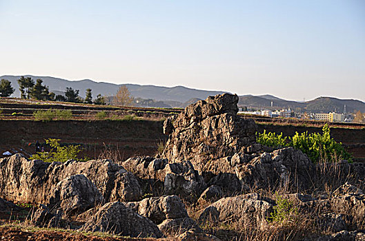 小尖山石林景观