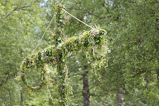 瑞典,五月花柱,遮盖,花
