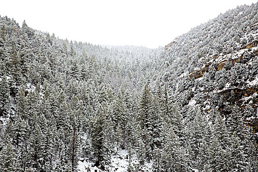 内华达,美国,春天,第一,雪,山