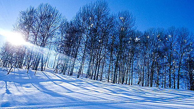 新疆喀纳斯禾木美丽峰雪景