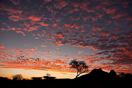 色彩,日落,天空,山,纳米比亚,非洲