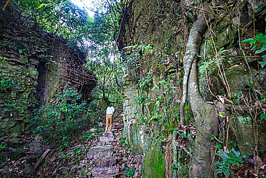 海曙,鄞江镇,峡谷,山谷,石头,险峻,一线天