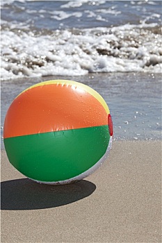 海岸,水皮球