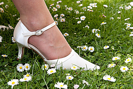 白色,婚礼,鞋,草,雏菊