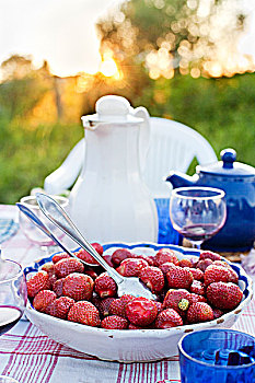 碗,草莓,野餐桌