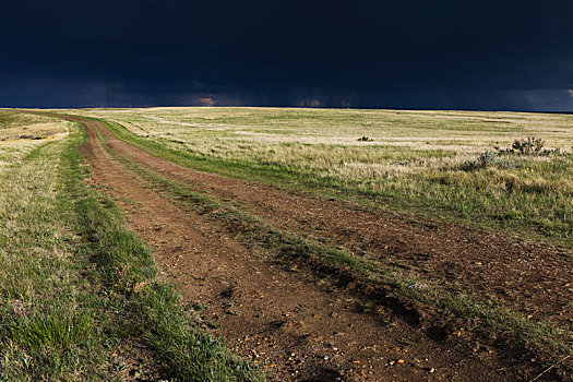 暗色,乌云,上方,草原国家公园,萨斯喀彻温,加拿大