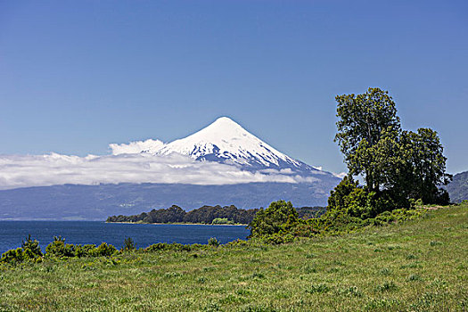 火山,波多黎各,拉各斯,区域,智利,南美