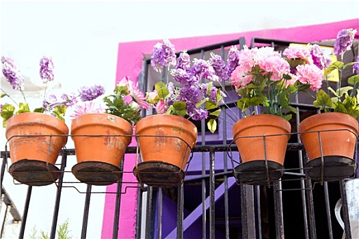 花,露台,粉色,紫色,伊比萨岛