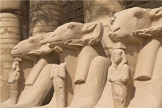 雕塑,卡尔纳克神庙,路克索神庙,埃及