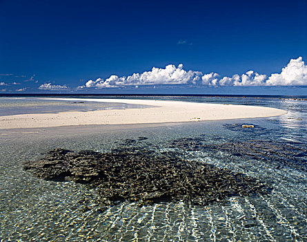 热带,海洋,珊瑚礁,马累环礁,马尔代夫,印度洋