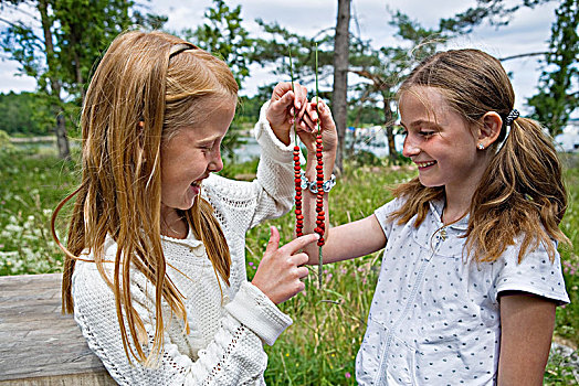 瑞典,两个女孩,10-11岁,12-13岁,拿着,草,树莓,站立,面对面