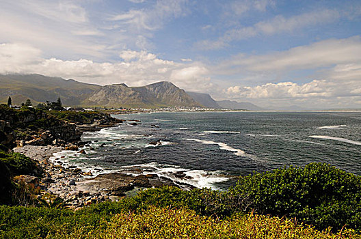 海滩风景,沃克艺湾,西部,省,南非