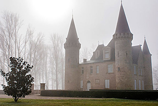 法国,梅克多葡萄酒,城堡,雾气