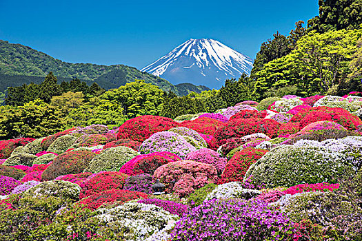 山,富士山