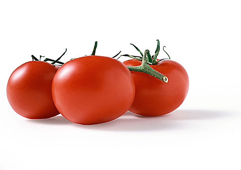 三个,西红柿茎,侧面视角,特写