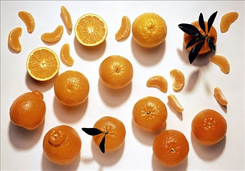 柑桔,橘子,平分,楔形