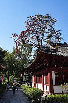 羊城广州千年古刹光孝寺