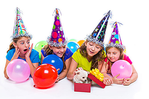 高兴,儿童,女孩,小狗,狗,礼物,生日派对,气球,白色背景,背景