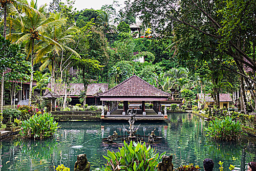 喷泉,水塘,寺庙,神圣,水,乡村,巴厘岛,印度尼西亚