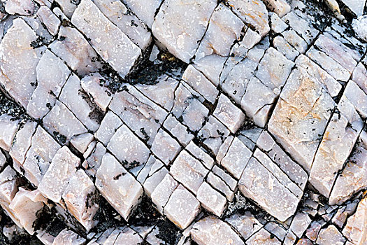石头,缝隙,霜,斯瓦尔巴群岛,斯瓦尔巴特群岛,挪威,欧洲