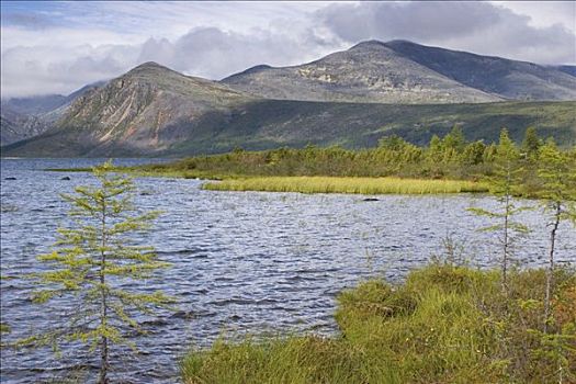 国家公园,湖,马加丹州,区域,东方,西伯利亚,俄罗斯