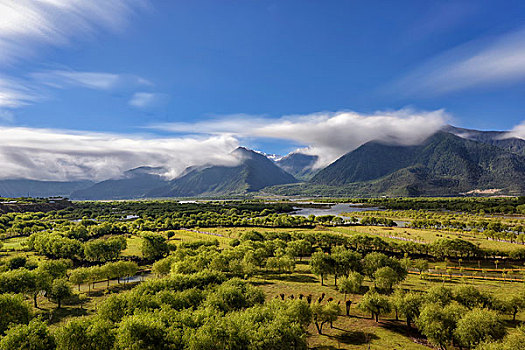 尼洋河山川风光