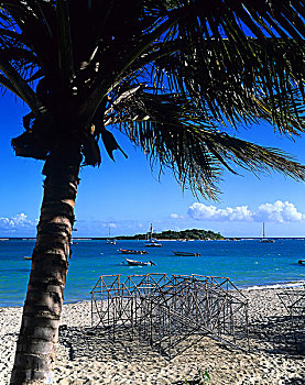 捕虾笼,热带沙滩,棕榈树,岛屿,瓜德罗普,法国,西印度群岛