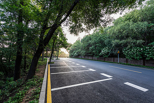 停车位图片_停车位图片大全_停车位图片素材